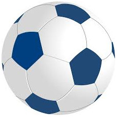 PELOTA FUTBOL N°5
