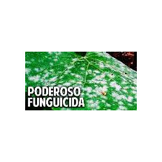 FUNGICIDA FUNDAZOL 50 ESCOZATE 100GR