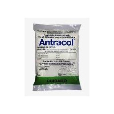 ANTRACOL 30 GRS