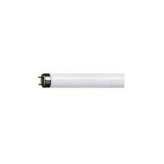 TUBO LUX 36W DAYLIGHT FRIO