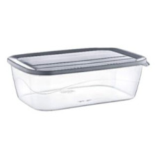 CONTENEDOR RECTANGULAR POLYTIME 4L 30*20*10CM