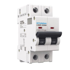 LLAVE TERMICA 06 AMP II CONNEX